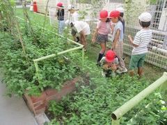 IMG_2594.jpg