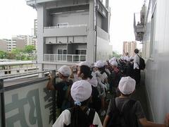 IMG_2283.jpg