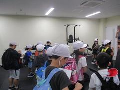IMG_2294.jpg