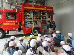 IMG_2319.jpg