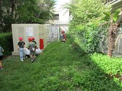 IMG_2599.jpg