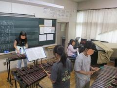 IMG_2341.jpg