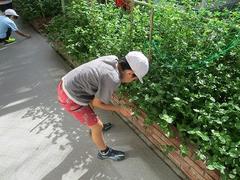 IMG_2593.jpg