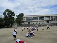 IMG_2589.jpg