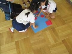IMG_2621.jpg