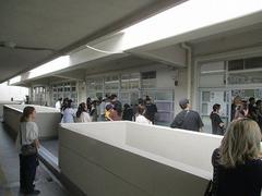 IMG_2652.jpg