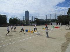 IMG_2603.jpg