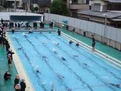 IMG_2359.jpg