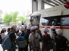 IMG_2304.jpg