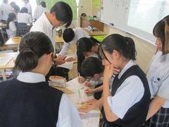IMG_2244.jpg