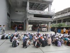 IMG_2275.jpg