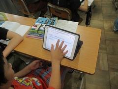 IMG_2378.jpg