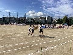IMG_1479.jpg