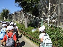 IMG_5673.jpg