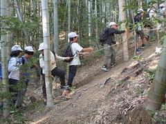 IMG_5629.jpg