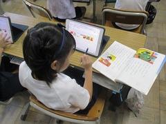 IMG_2806.jpg