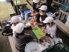 IMG_5650.jpg