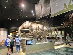 IMG_5627.jpg