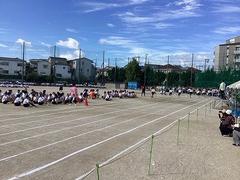IMG_1467.jpg