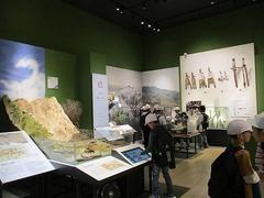 IMG_5626.jpg