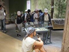 IMG_5623.jpg