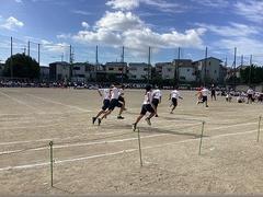 IMG_1485.jpg