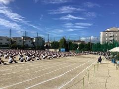 IMG_1464.jpg