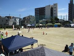 IMG_5703.jpg