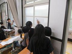 IMG_2937.jpg