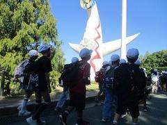 IMG_2845.jpg