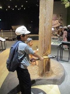 IMG_5624.jpg