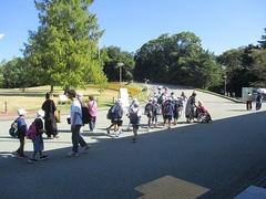 IMG_2843.jpg