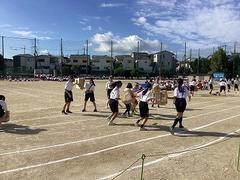 IMG_1481.jpg