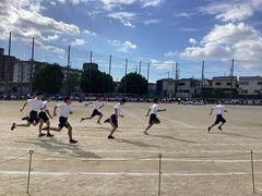 IMG_1484.jpg