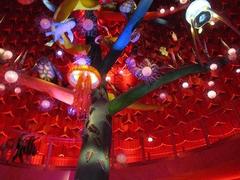 IMG_2849.jpg