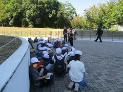 IMG_2851.jpg