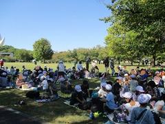 IMG_2854.jpg