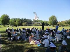 IMG_2856.jpg