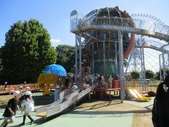 IMG_2857.jpg
