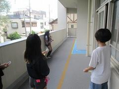 IMG_2893.jpg