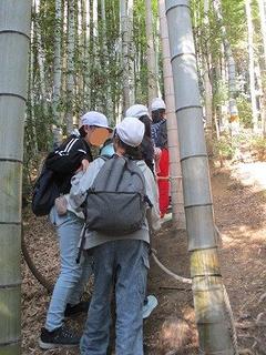 IMG_5630.jpg
