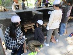 IMG_5652.jpg