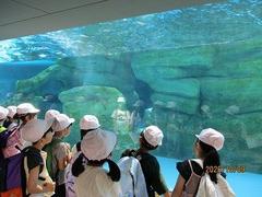 IMG_5665.jpg