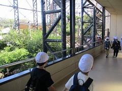 IMG_5672.jpg