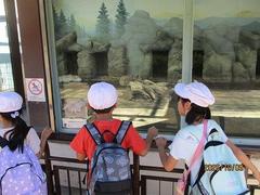 IMG_5677.jpg