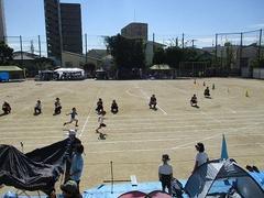 IMG_5682.jpg