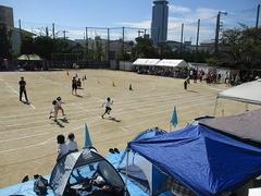IMG_5684.jpg
