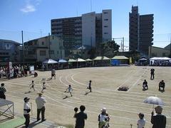 IMG_5688.jpg