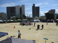 IMG_5700.jpg