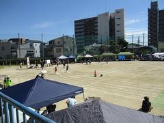 IMG_5711.jpg
